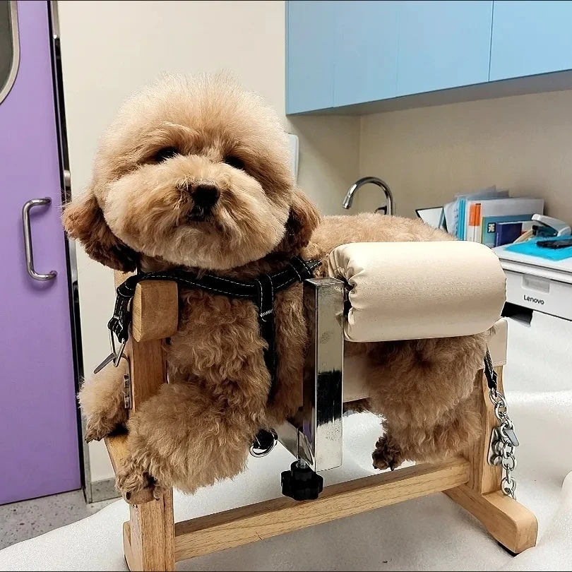 Acupuncture Rack Pet Dogs Cats Dogs Acupuncture Bed Anial Frae Binding Breeding Frae Parazed Rehilitation