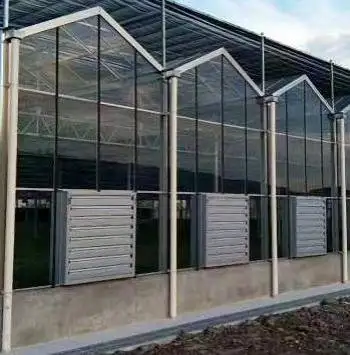 Industrial Heavy Duty Wall Mounted Galvanized Ventilation Exhaust Fan for Barn Poultry Farm Box Fan