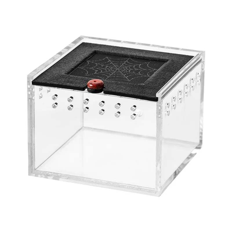 Spider Small Insect Breathable Breeding Box Prevent Escape Reptile Acrylic Terrarium Scorpion Beetle Insect Feeding Cage