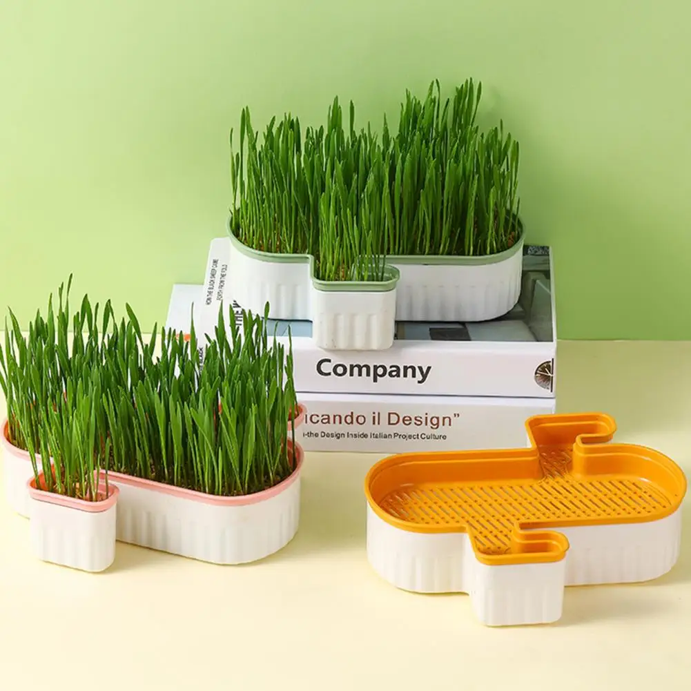 Hydroponic Cat Grass Planter Growing Pot Detachable Bottom Filter Hole Double Layer Soilless Catnip Snack Growing Box for Garden