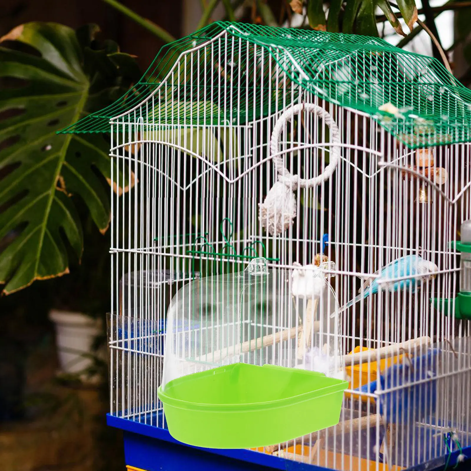 Aksesoris Bak Mandi Burung unt - Bird Cage Parrot ulasan dan harga