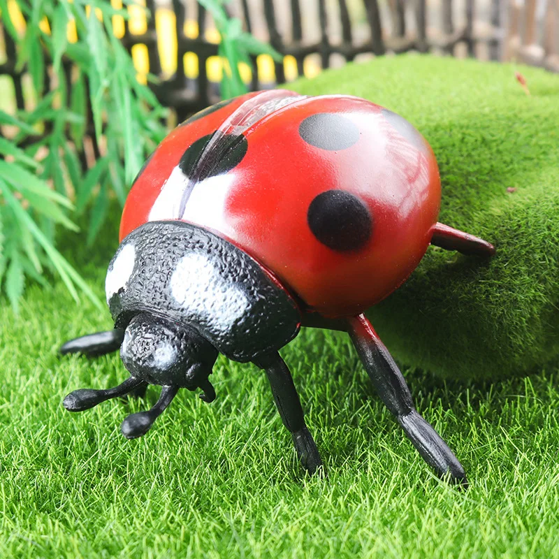 ألعاب حيوانات برية للحشرات للأطفال ، نموذج ، فراشات ، نمل ، يعسوب ، شكل حركة الذباب ، تمثال مزرعة ، لعبة التعليم #5