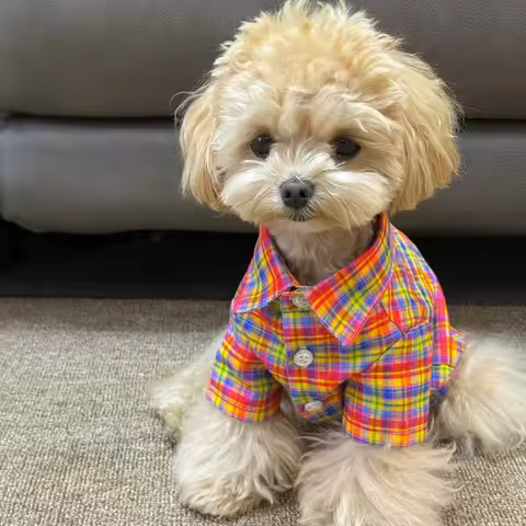 Pet Autumn/Winter Checkered Shirt Teddy T-shirt Thin Base Shirt Schnauzer Cat Puppy Clothes Dog Clothes for Small Dogs