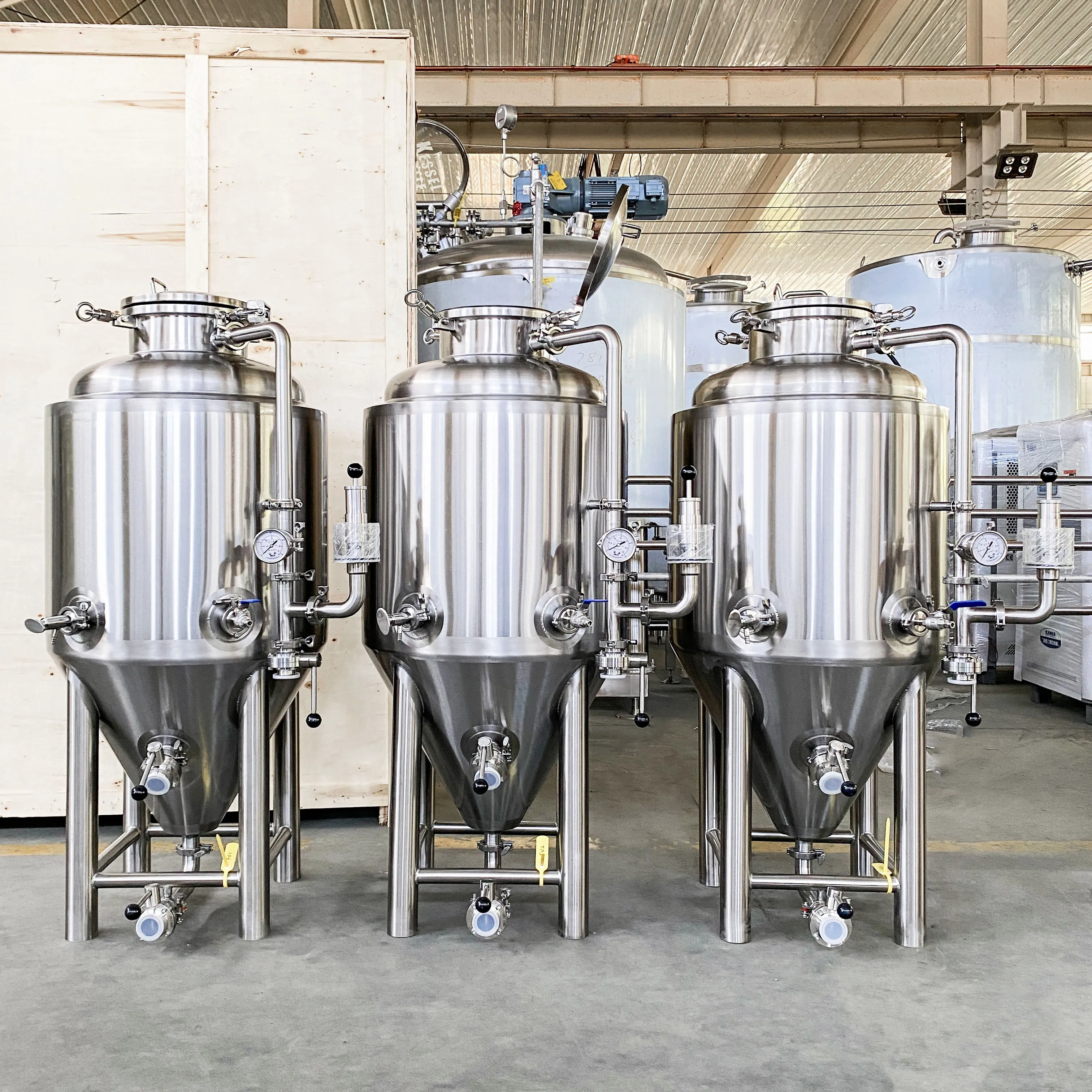 Customizable 100L 200L 300L Micro Fermentation Tank Pressure Vessel Beer Stainless Steel 304 Food Grade High Quality Carry