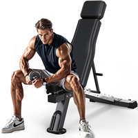 Folding Weight Bench Adjustable Multifunctional Training Bench (Ab600) (Black)