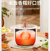 220V German Smart Mini Rice Cooker Low Sugar Multi Function Electric Pot for Home Dorm Cooking CAW