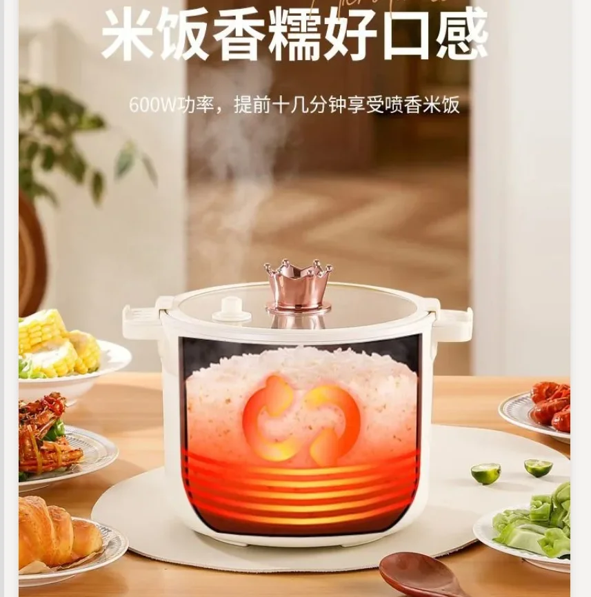 220V German Smart Mini Rice Cooker Low Sugar Multi Function Electric Pot for Home Dorm Cooking CAW