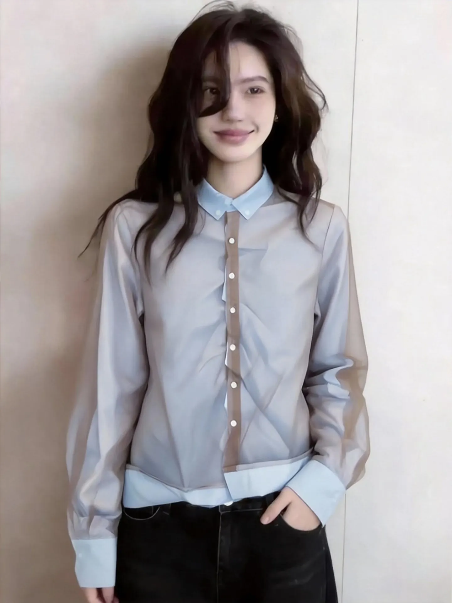 

Spring 2026 Luxury Color Blo Long Sve irt Faionable ey Top Commute Design Sense Ele Women's plus Size Blouse