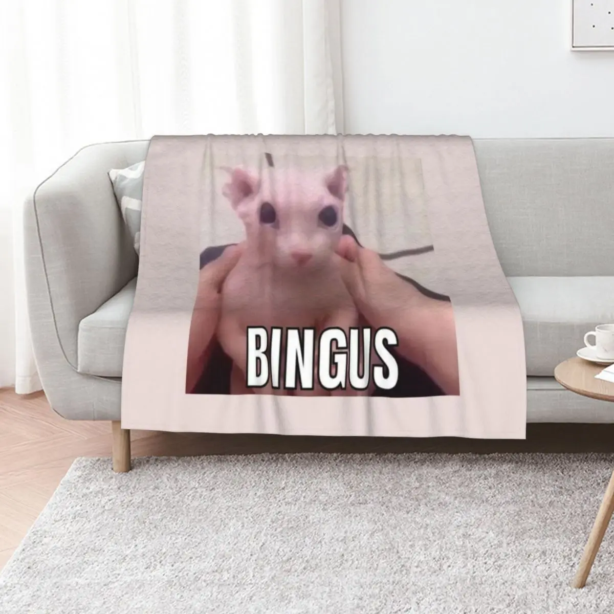 

Bingus Throw Blanket bed plaid Camping for sofa Hairy Blankets