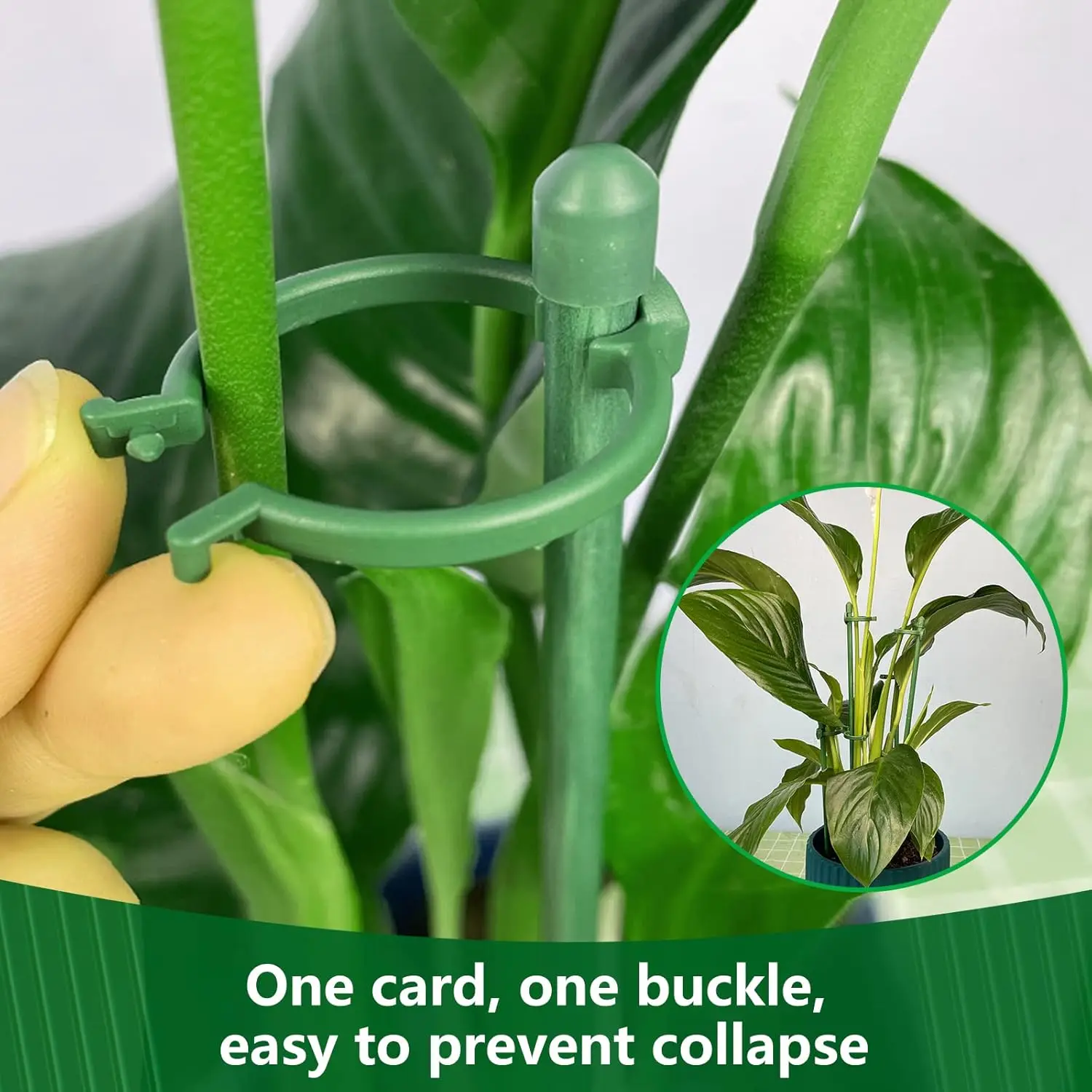 حديقة خضراء حصص قابل للتعديل دعم النبات قضيب شجيرة زهرة الورد العصي الطماطم الكرمة السحلية حامل أصائص زرع حامل القطب