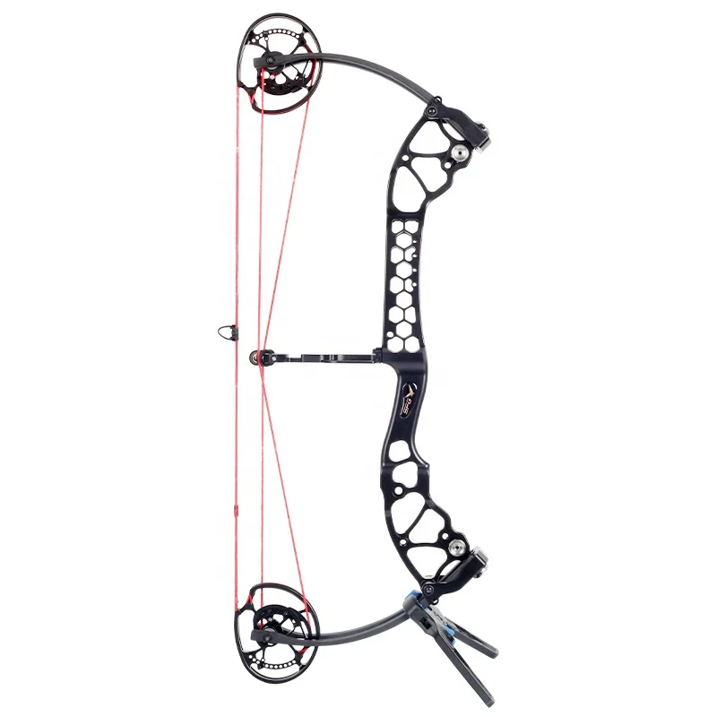 

Archery Steel Ball Compound Bow and Arrow Set Aluminum Alloy Riser Outdoor Hunting Shooting Target Practice Beginner Equipment