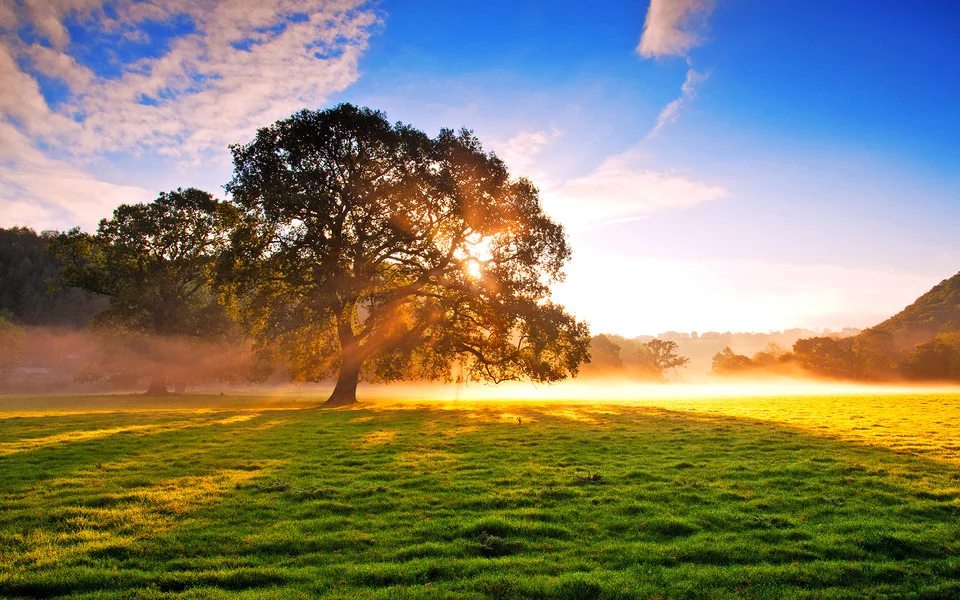 Product cost/product price difference/other expenses