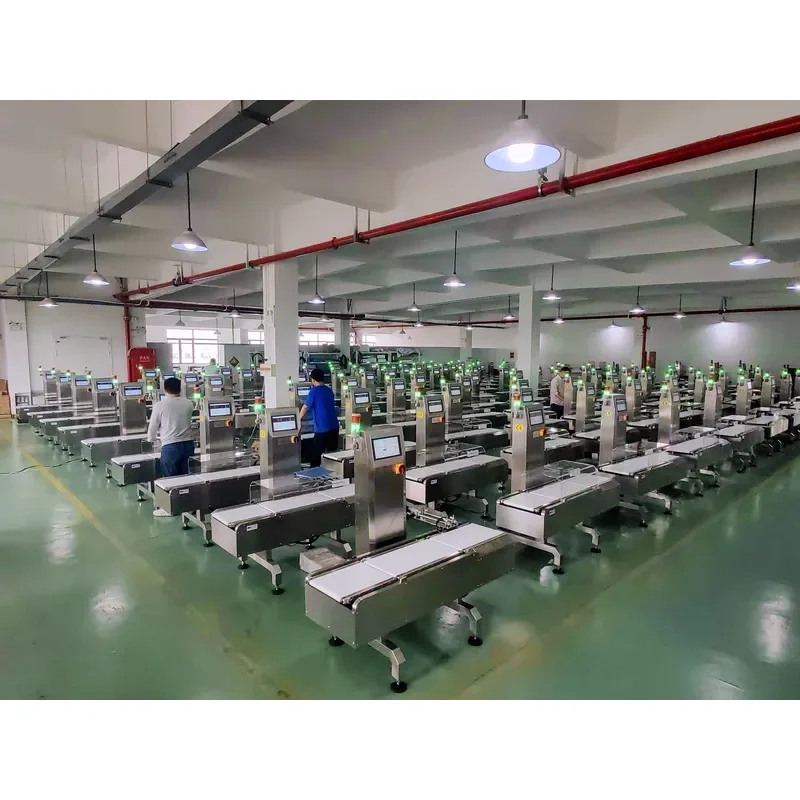 Automatic Online Checkweigher Machine | High-Speed Dynamic Weighing Scale with Rejection System for Production Line