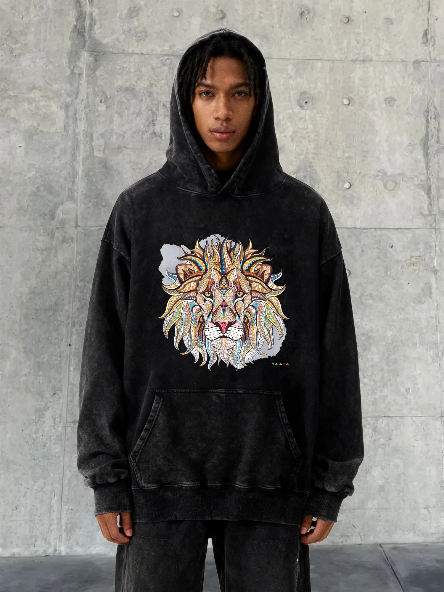 Ethnic Lion Art Man… - image