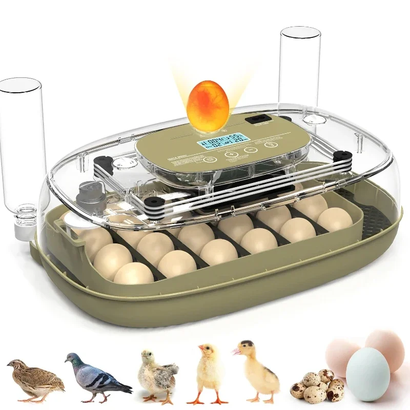 24 Egg Incubator with Auto Turn, Temp & Humidity Control & Built-in Candler for Chicken Duck Goose Eggs Incubator