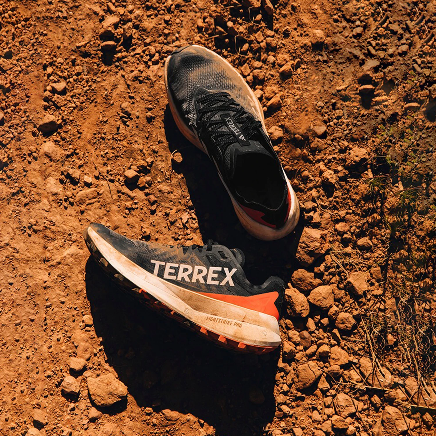 adidas Authentic Terrex gepolsterte Trailrunning-Schuhe für Herren IG8017