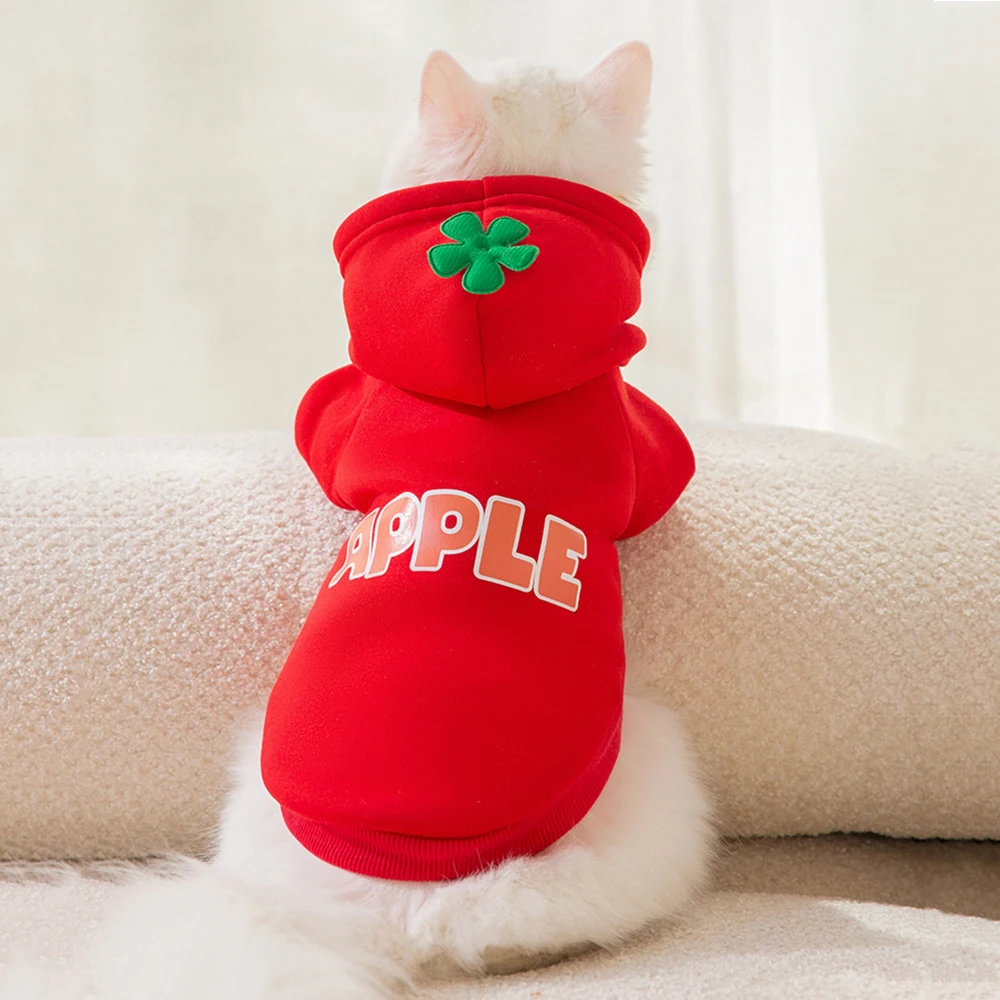 Autumn Winter Pet Clothes Fashion Letter Print Cat Puppy Hoodies for Small Dogs Cats Persian Sphynx Clothing Kitten Coat Outfit