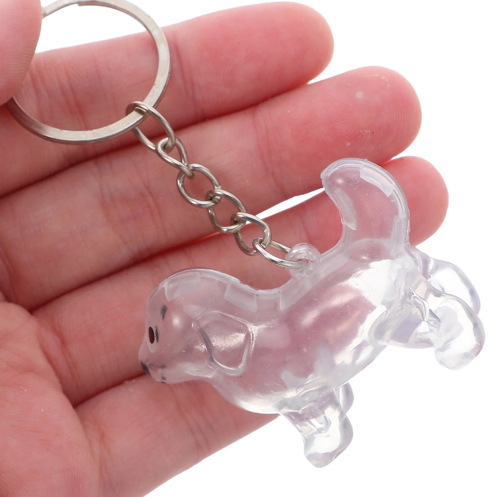 

2Pcs Dog Hair Keepsake Box Transparent Pet Hair Storage Keychain Portable Organizer for Pet Lovers and Decorative Use