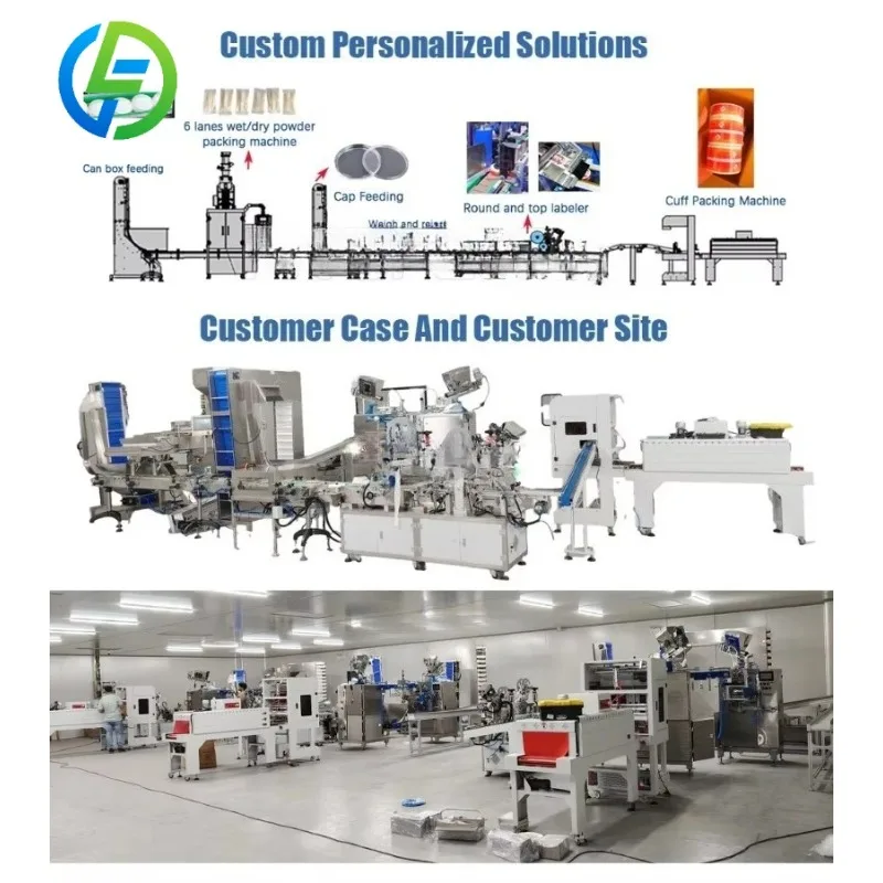 Customize Small Scale Full Automatic Nicotine Pouch packaging production line for Startup Factory