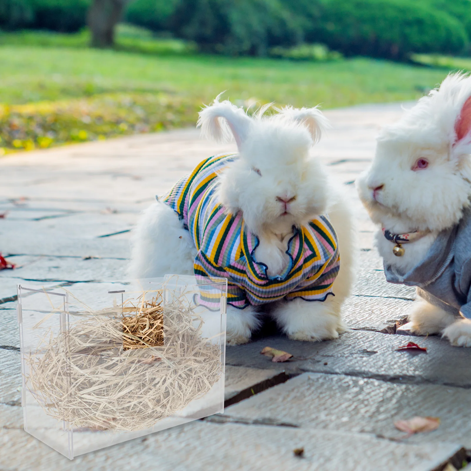 

Rabbit Hay Holder Large-Capacity Acrylic Feeder for Rabbits Guinea Pigs Hamsters Wear-Resistant Feed Groove for Constant Hay