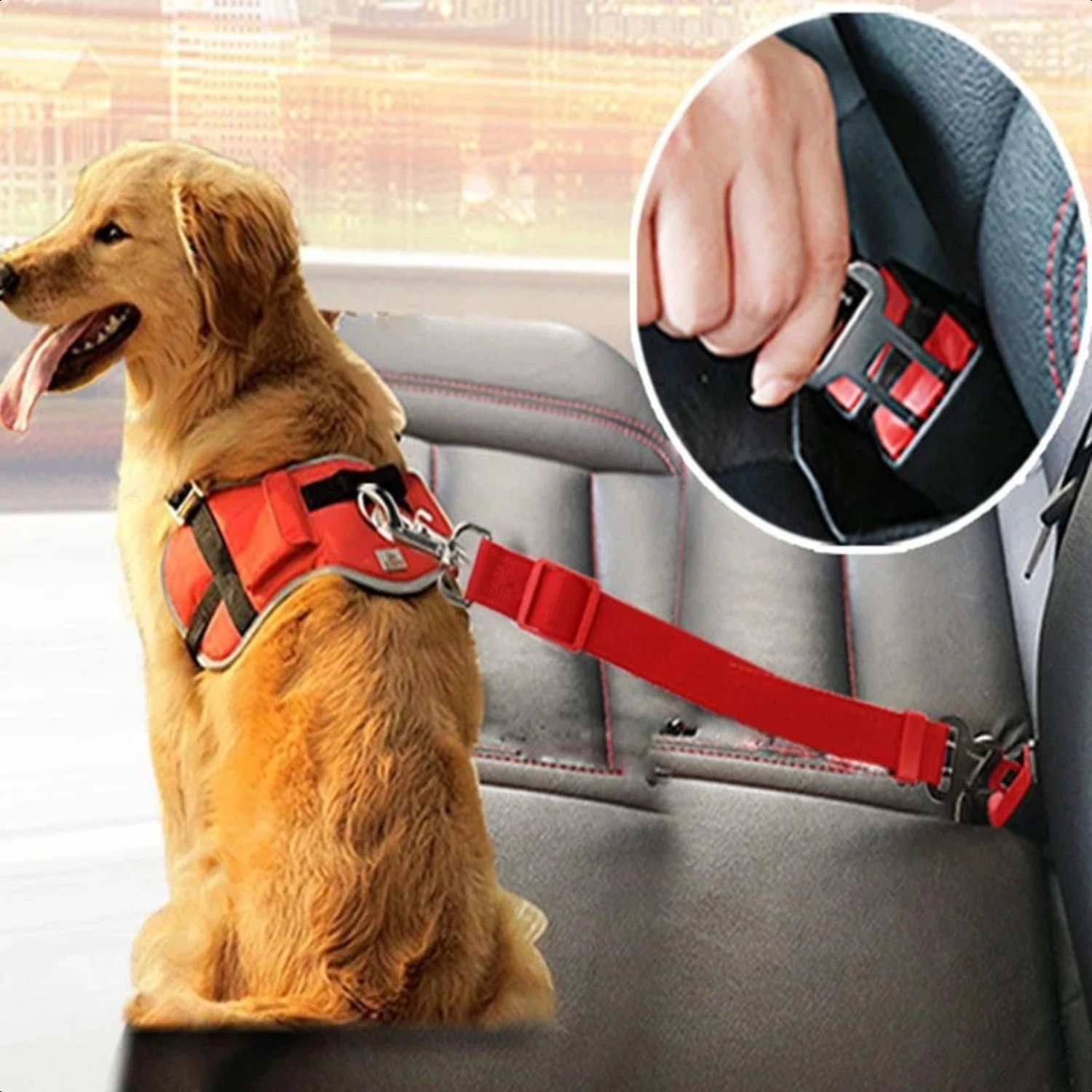 Collar ajustable seguro para perro y mascota, arnés de plomo para vehículo, cómodo, garantía de seguridad. Clip de confort, carretera máxima y