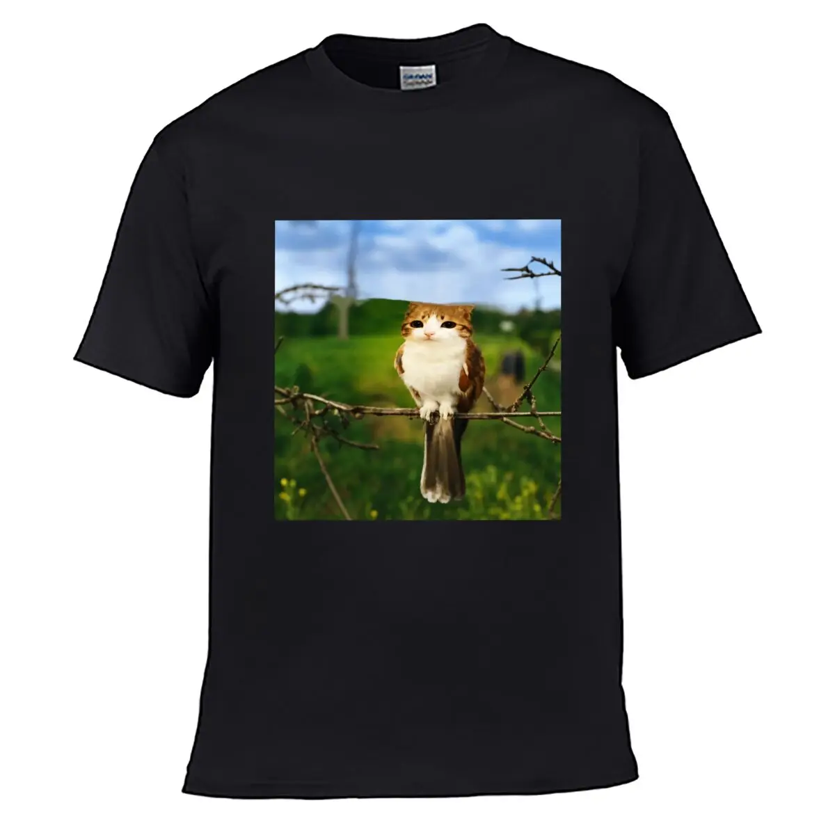 Funny Cat Bird Hybrid Perched On Branch Loose Vintage Distressed Washed Casual Tee