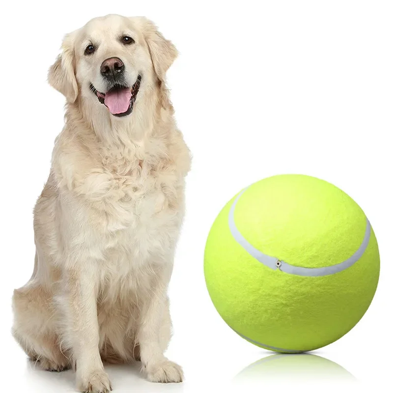 Balle de tennis gonflable pour animaux de compagnie, jouet à mâcher pour chien, jouets interactifs
