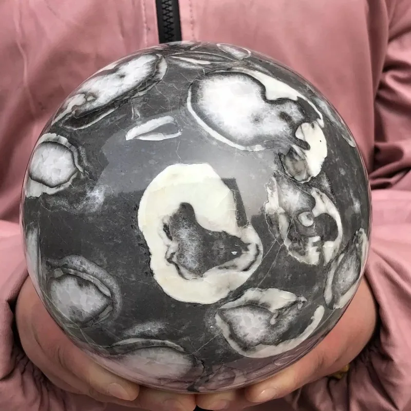 A carefully polished quartz sphere containing fossilized insects , a smooth mineral display for educational purposes