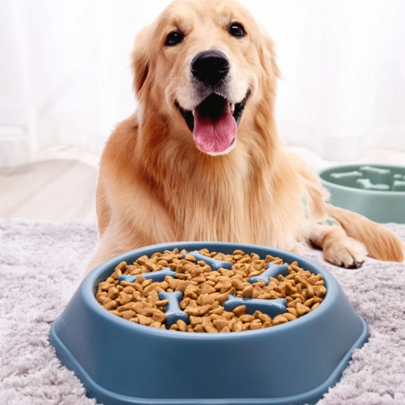 

Dog Bowl Choke-Proof Slow Feeder Small And Medium Pet Feeder Cat Bowl Supplies