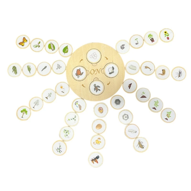 لعبة ألغاز دورة نمو الحياة البيولوجية، لوحة تعليمية لرياض الأطفال 15UB