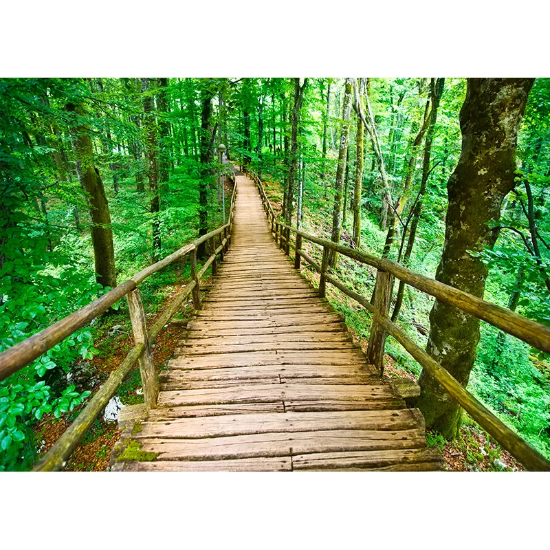 Natural Scenery Photography Background Forest Wheat Field Landscape Travel  Photo Backdrops Studio Props  21512 ZRFJ-04