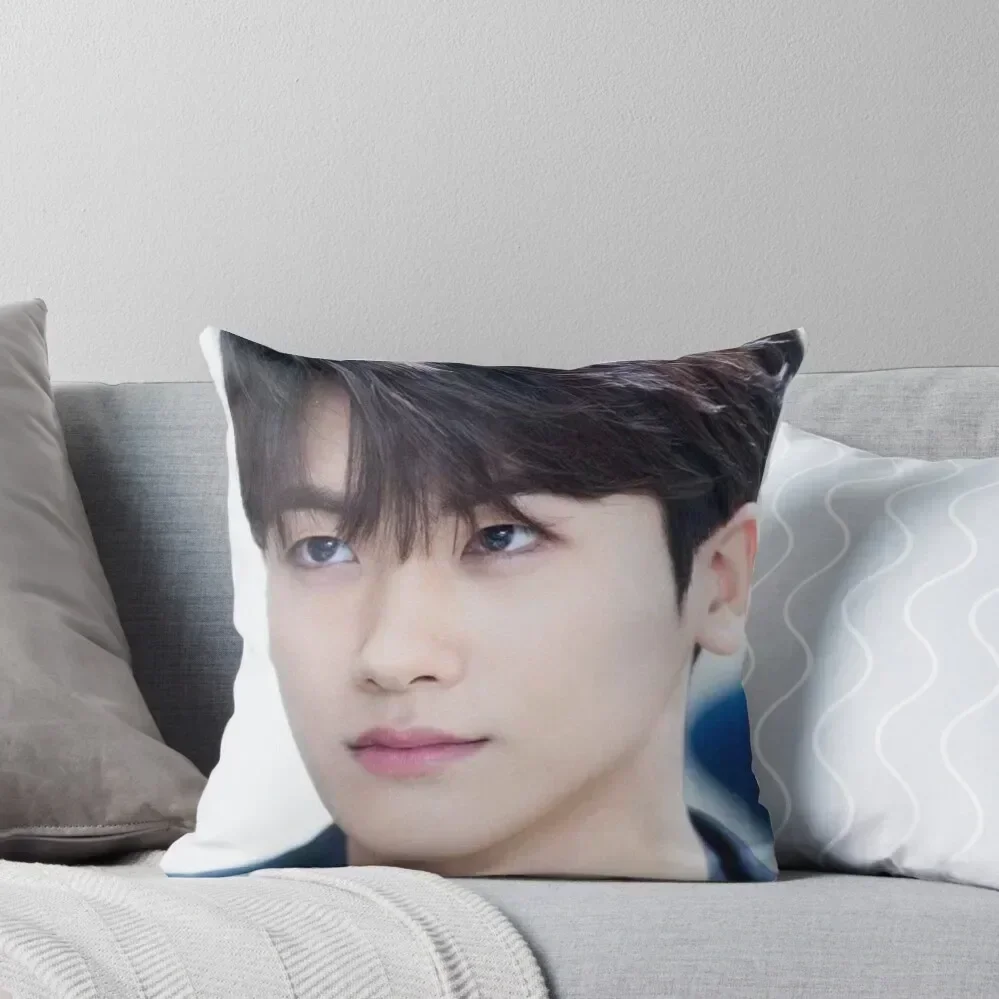 Actor Park Hyung-sik Throw Pillow Sitting Cushion Cushion Cover pillow