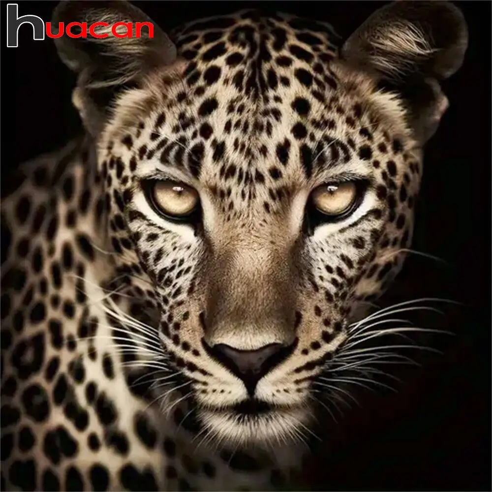 

Huacan 2021, новая коллекция, алмазные картины, дельфин, небо, алмазная вышивка, морской закат, мозаика, художественные украшения, картины