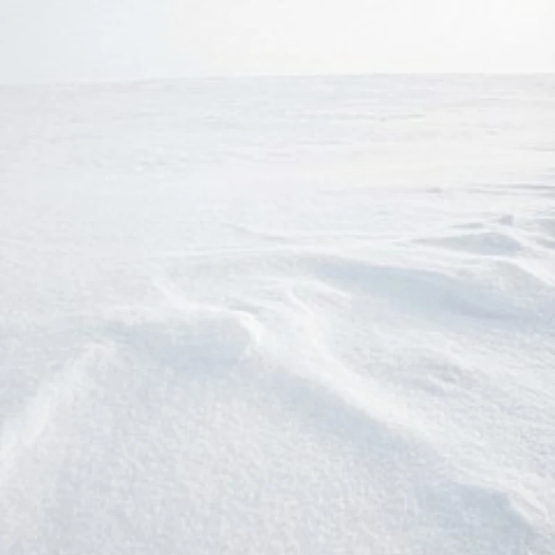 

JX Servo PDI-D56MG 5.6g Metal Gear Digital Coreless Servo 0.89KG for RC Car Helicopter Robot Airplane Aircraft Drone DIY