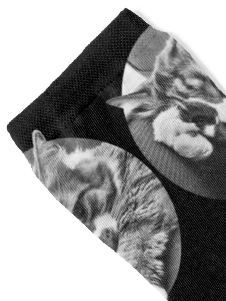 SIDE EYE CAT IS OVER IT. UGH. Funny kitten meme image. Socks Lots Rugby floral Socks Women's Men's