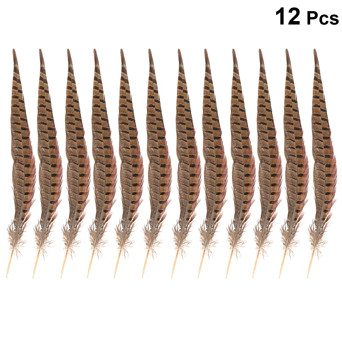 12Pcs Natural Pheasant Tail Decorative for Wedding Party Costume DIY Crafts Performance Hair Accessories