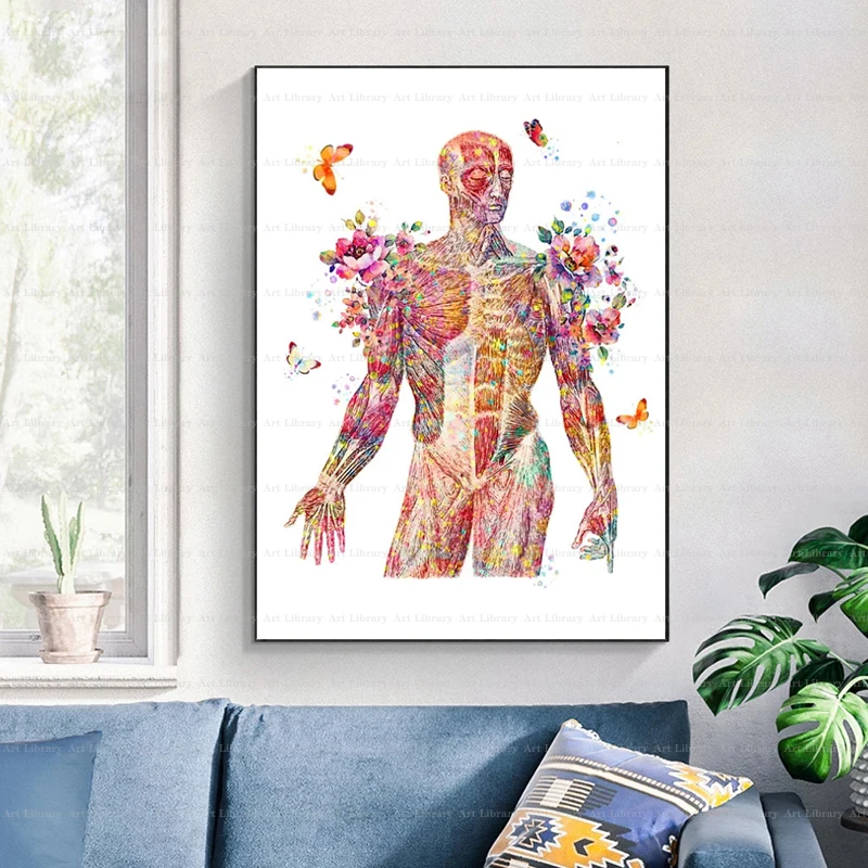 Human Muscle Anatomy Art Poster Musculoskeletal System Canvas Painting Wall Prints Medical Education Home Clinic Decor view 3