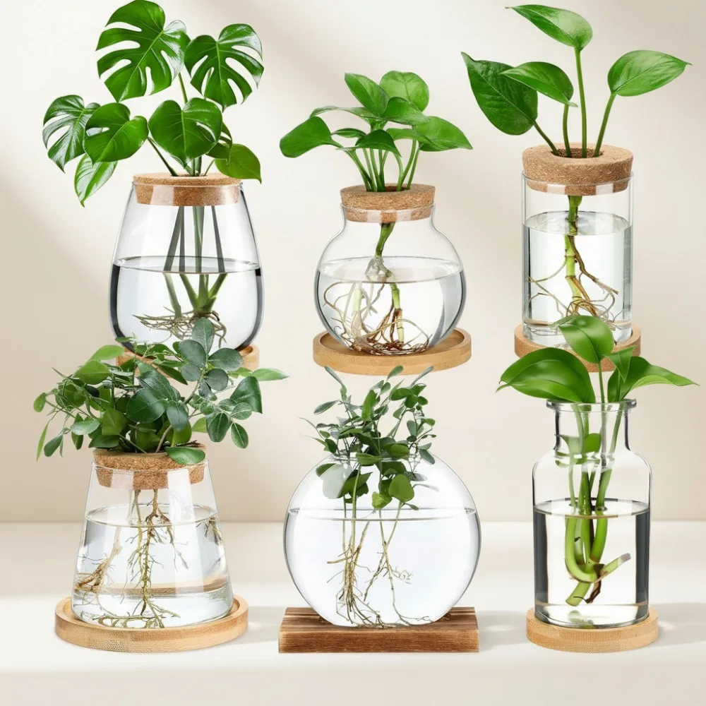 

6 шт. стеклянные станции для размножения растений с деревянной крышкой и бамбуковой подставкой - гидропонные вазы для украшения стола домашнего офиса