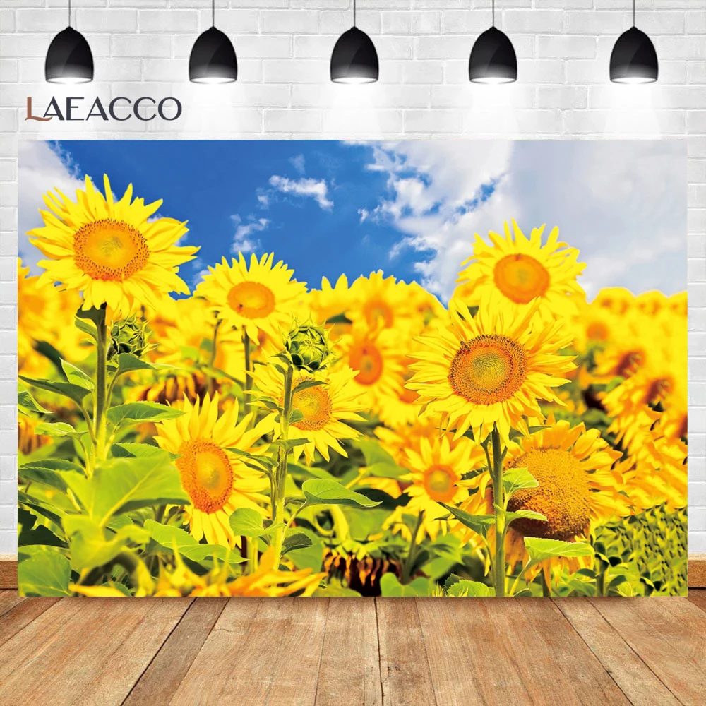 Laeacco Sunset Sunflower Backdrops for Photographers Natual Landscape Scenery Newborn Portrait Photo Photography Background