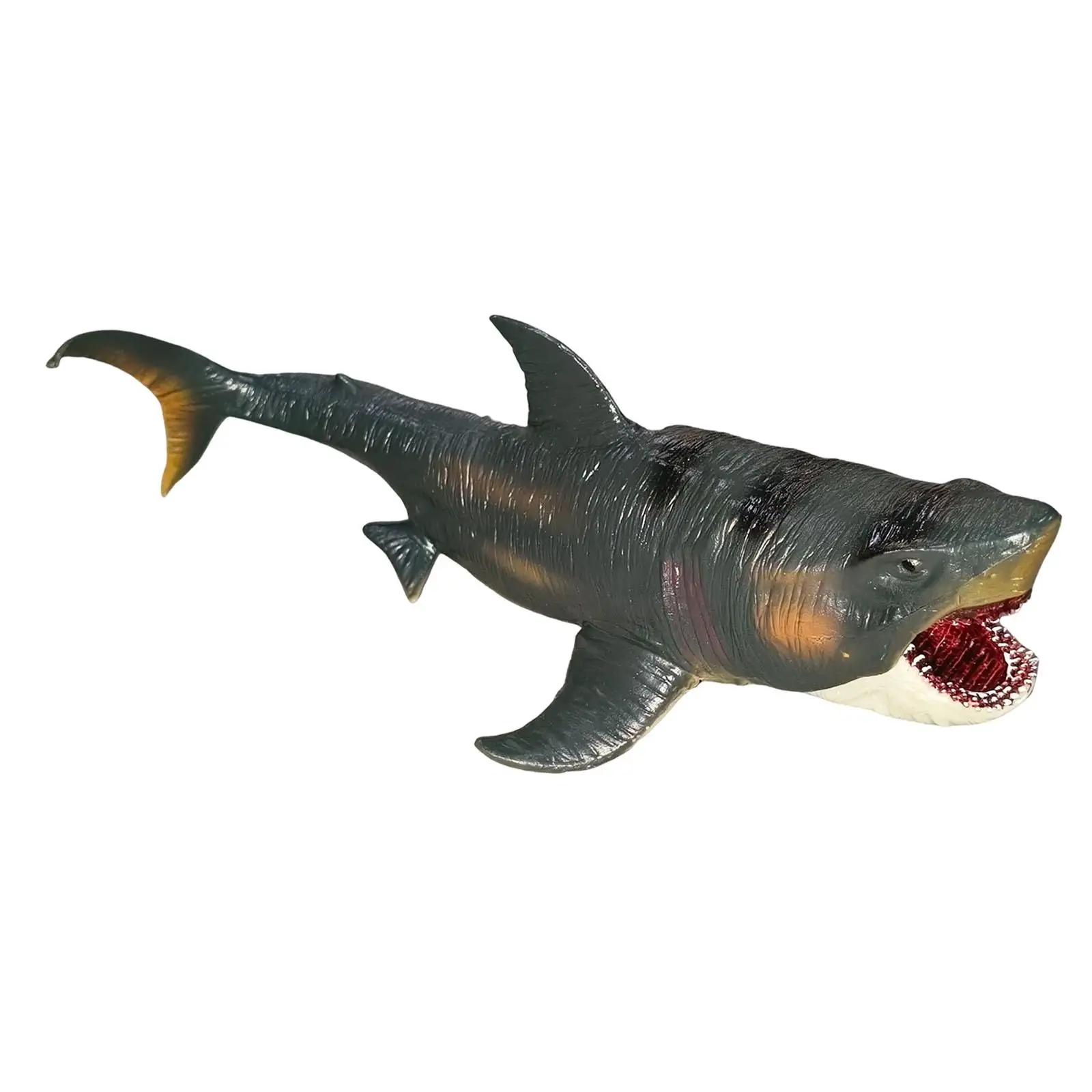 교육용 상어 모형 메갈로돈 모델 사실적인 동물 상어 장난감 교육 보조용 초기 학습 장난감 어린이 남아 여아용