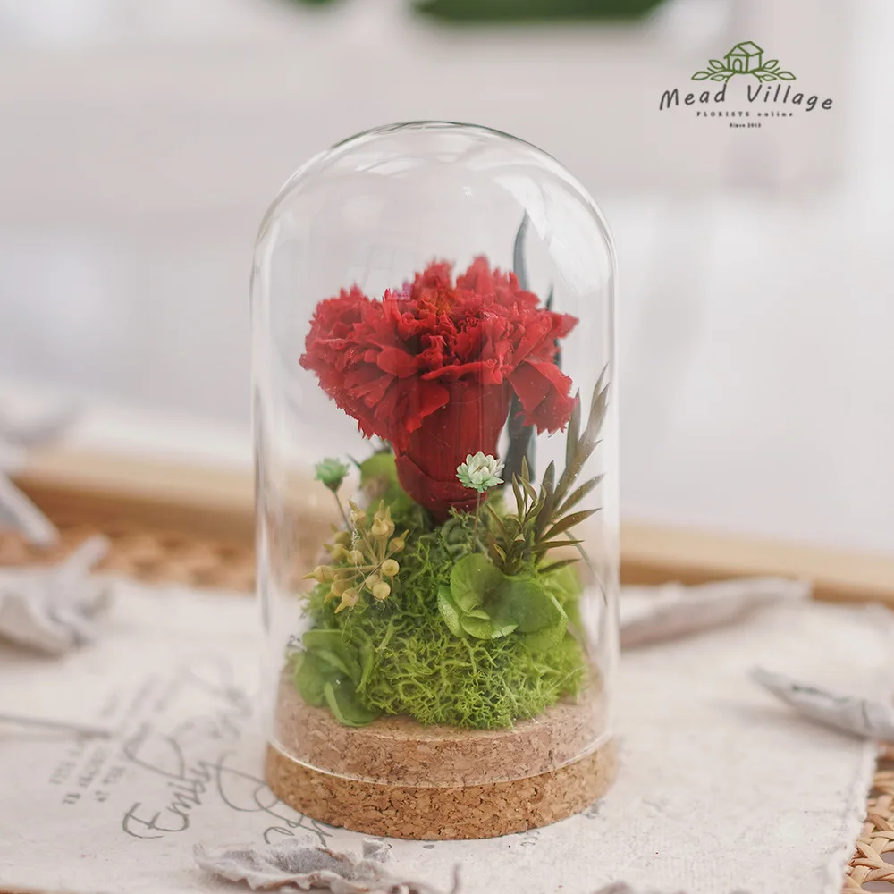 Forever Flowers DIY Material Kit Wishing Bottle Carnation Valentine's Day Mother's Day DIY Romantic Gifts Gift Decorations