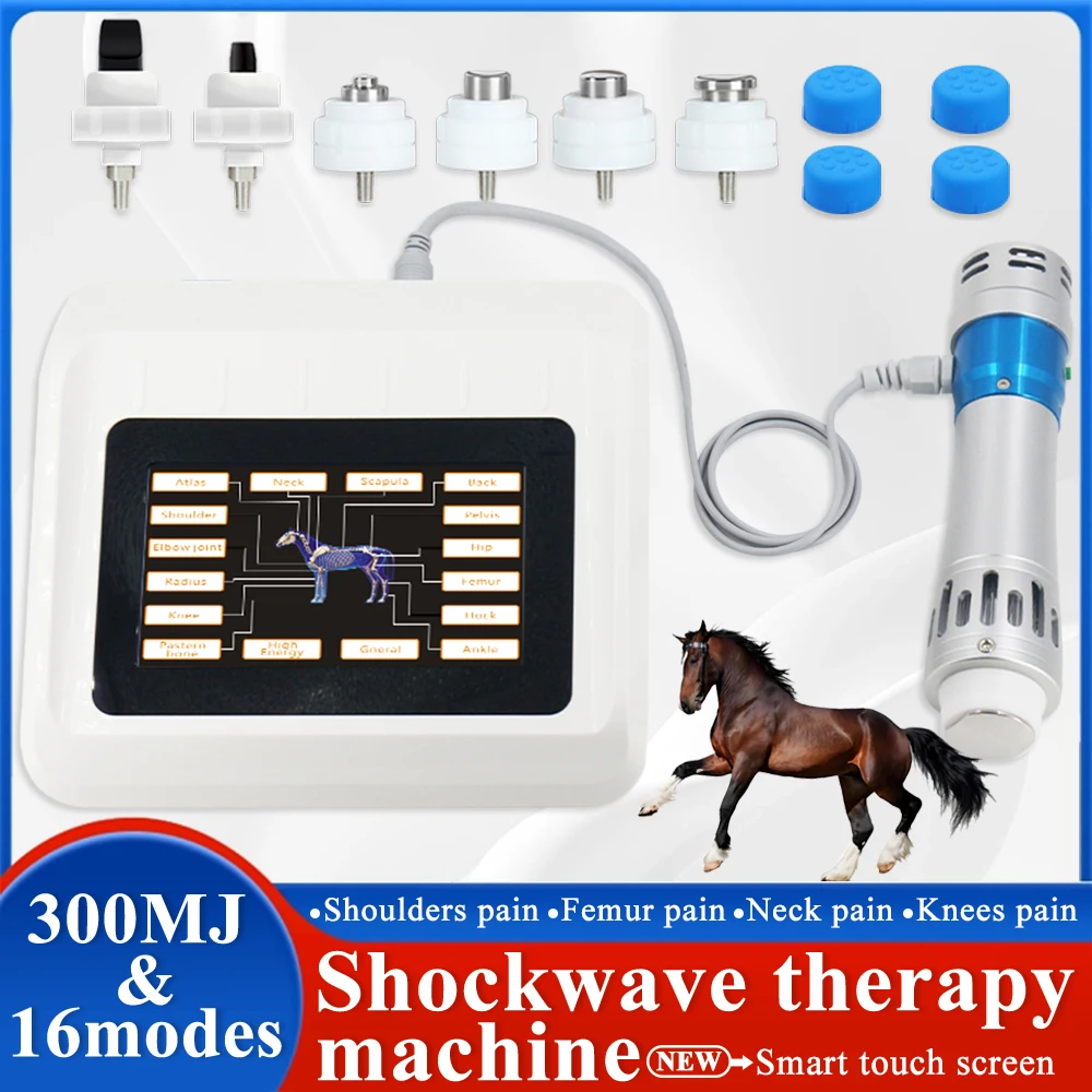 

Animals Physiotherapy Shock Wave Machine Relieve Muscle Pain And Treat Tendon Injury 300MJ Shockwave Massager For Race Horse Use