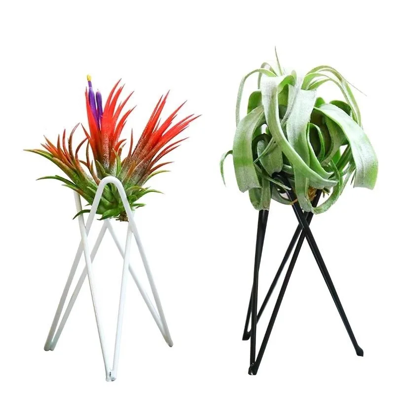 1PC Plant Stand Iron Air Pineapple Stand Flower Stand No Soil Office Hydroponics Vase Container Beautiful Decoration Family