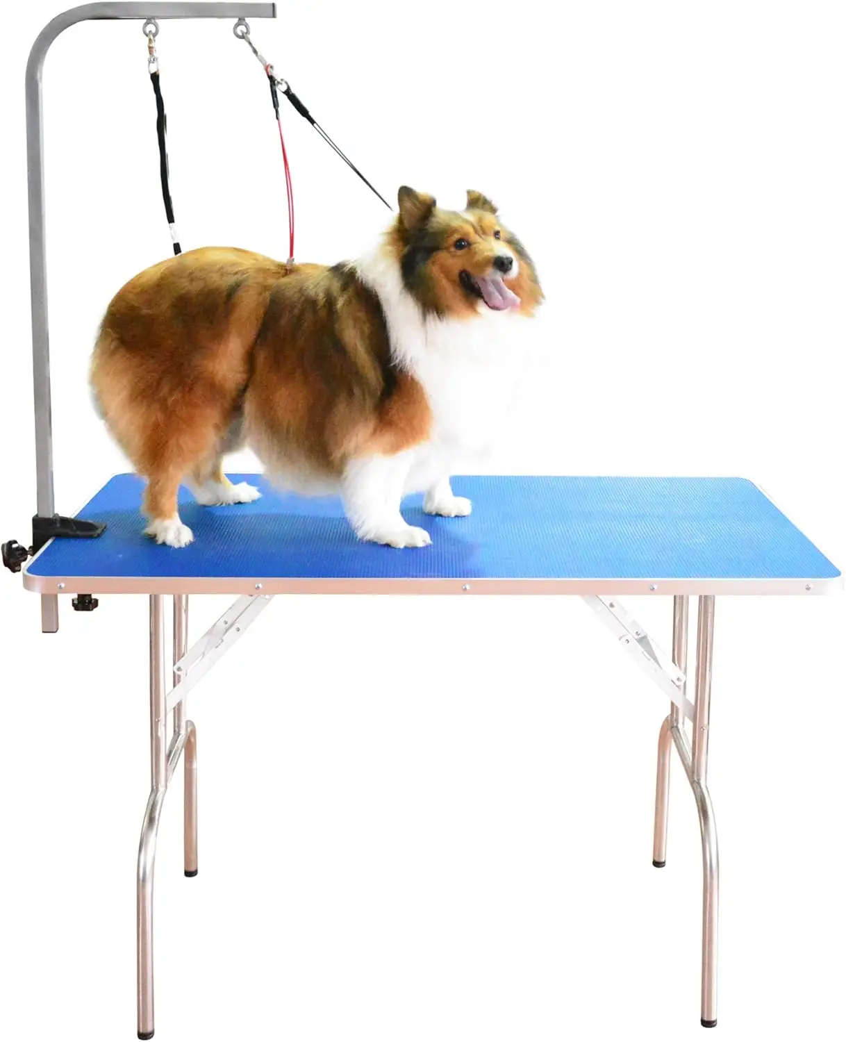 Table de toilettage pour animaux de compagnie avec double laisse et pince, chiens de grande et moyenne taille