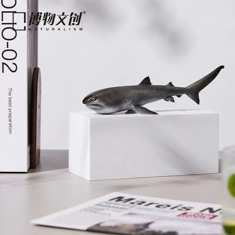 

In Stock Chinese national geography Museum Wenchuang megachasma pelagios Mianmian Shark Model Simulation of Marine Objects