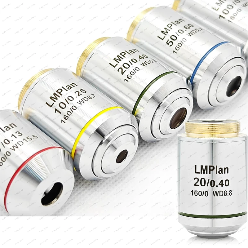 5X 10X 20X 50X 100X…