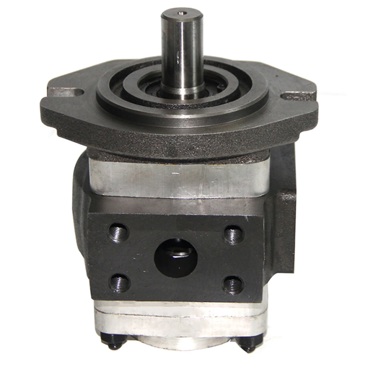 NBL2A1-251L-H01 Internal Gear Pump Stainless Steel Hydraulic Gear Pump