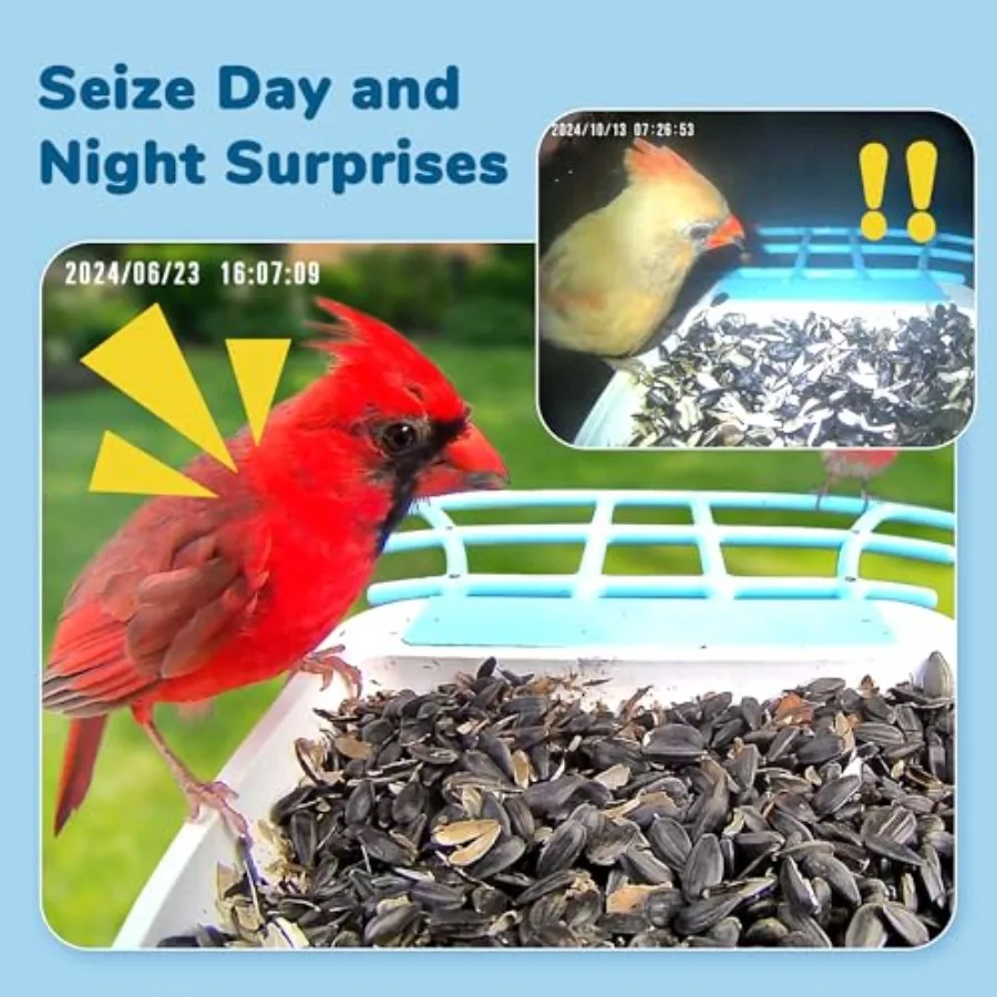 【Spot goods】Bird Feeder with Camera Equipped with 5000mAh Battery and Solar Panel AI Bird Species Identification 2K HD Video Be view 6