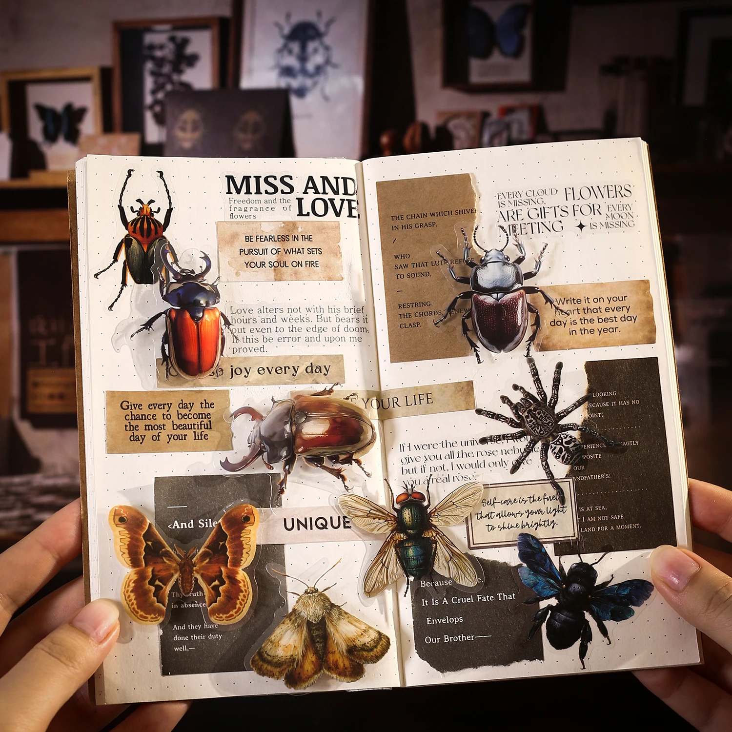 Insect Specimen Guidebook Serie Vintage Vlinder Libel Landschap PET Sticker Creatief Journal Materiaal Collage Briefpapier