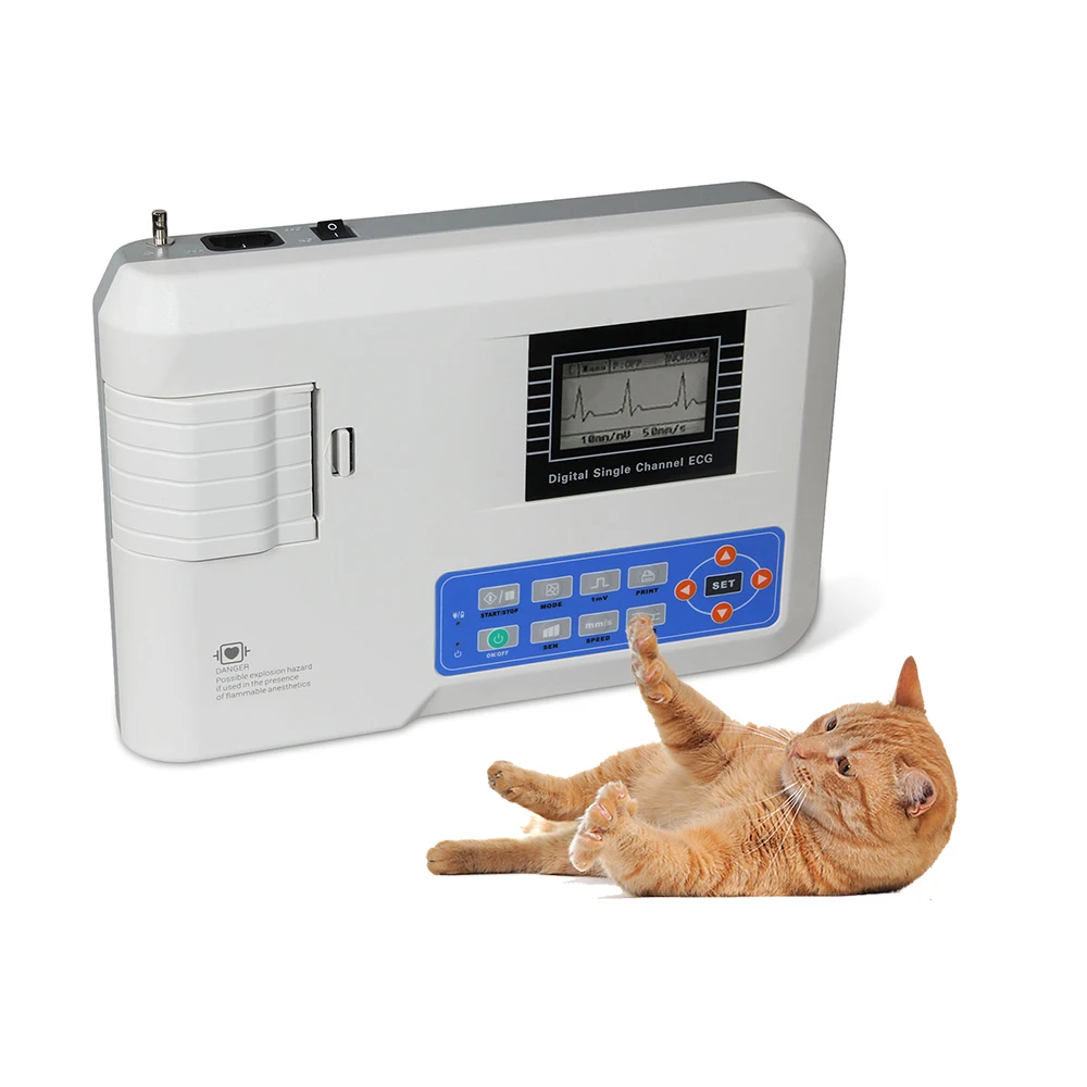 Pet Electrocardiograph Dog ECG Analisys Veterinarian ECG Veterinary for Vet